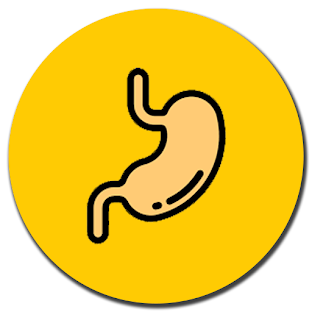 ระบบย่อยอาหาร (Digestive System)